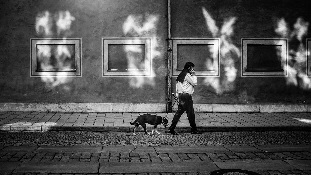Ecological Boredom, is just one of the many interesting topics George Monbiot discusses in his book Feral. This is depicted her of a man on the telephone while walking his dog in a city.