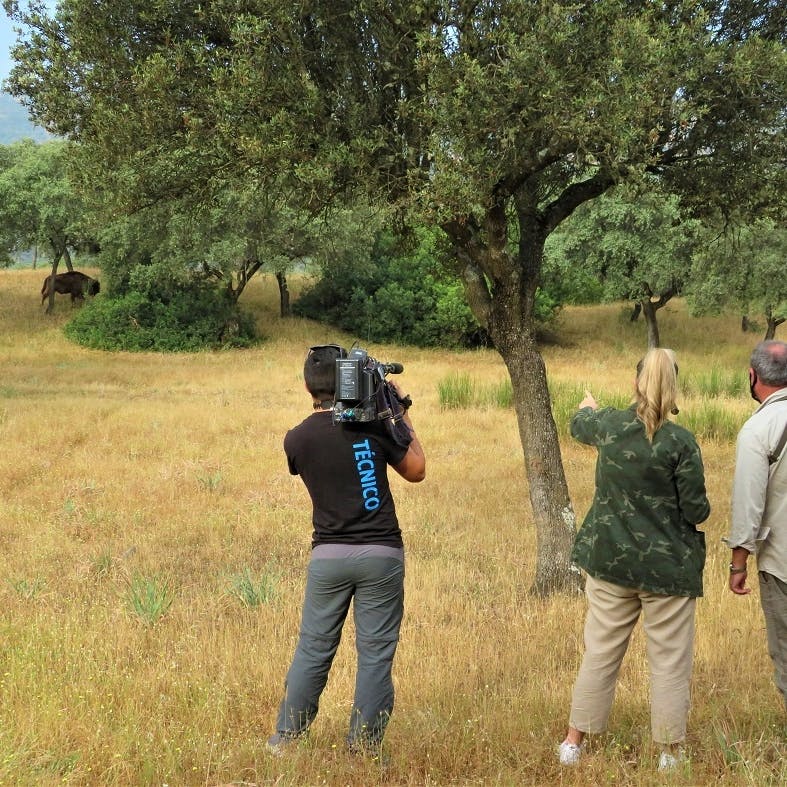 Camera crew visiting a bison herd.