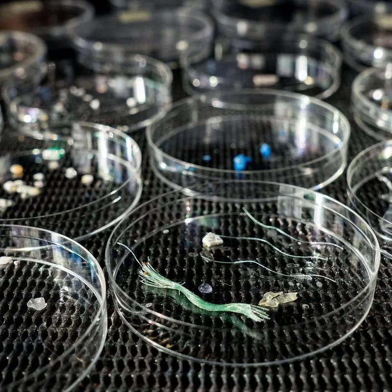 Microplastics found in the ocean