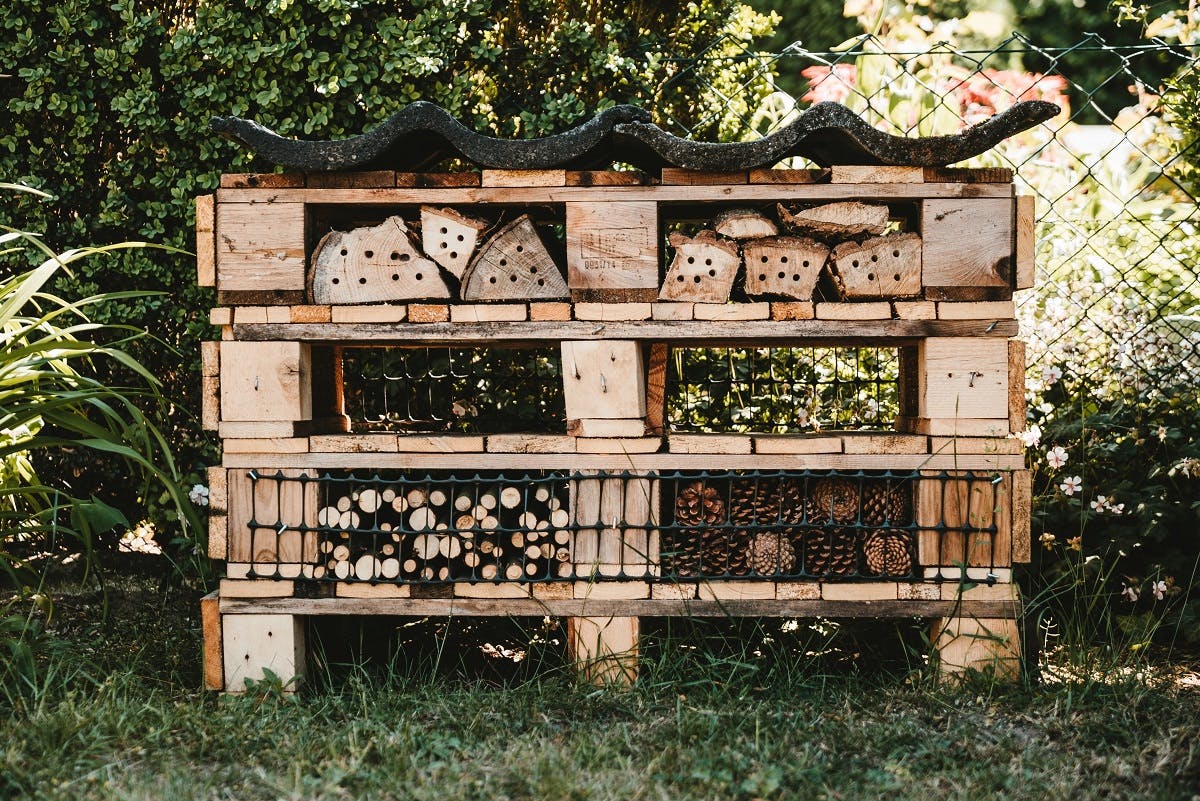 A large bug hotel built from used wooden pallets and old logs. 