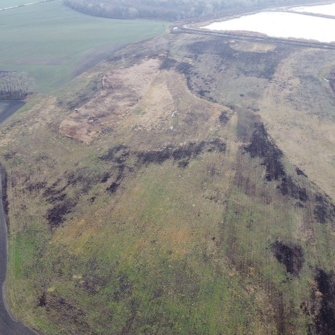 The field of invasive species targeted for Mossy Earth's wetland restoration project along the Ciliz Brook.