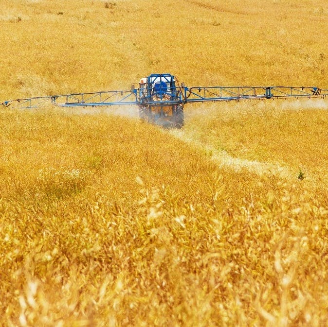 Pesticides being sprayed over cereal crops . This is deadly to bee populations. Buy bee friendly foods to help save the bees from bee extinction.