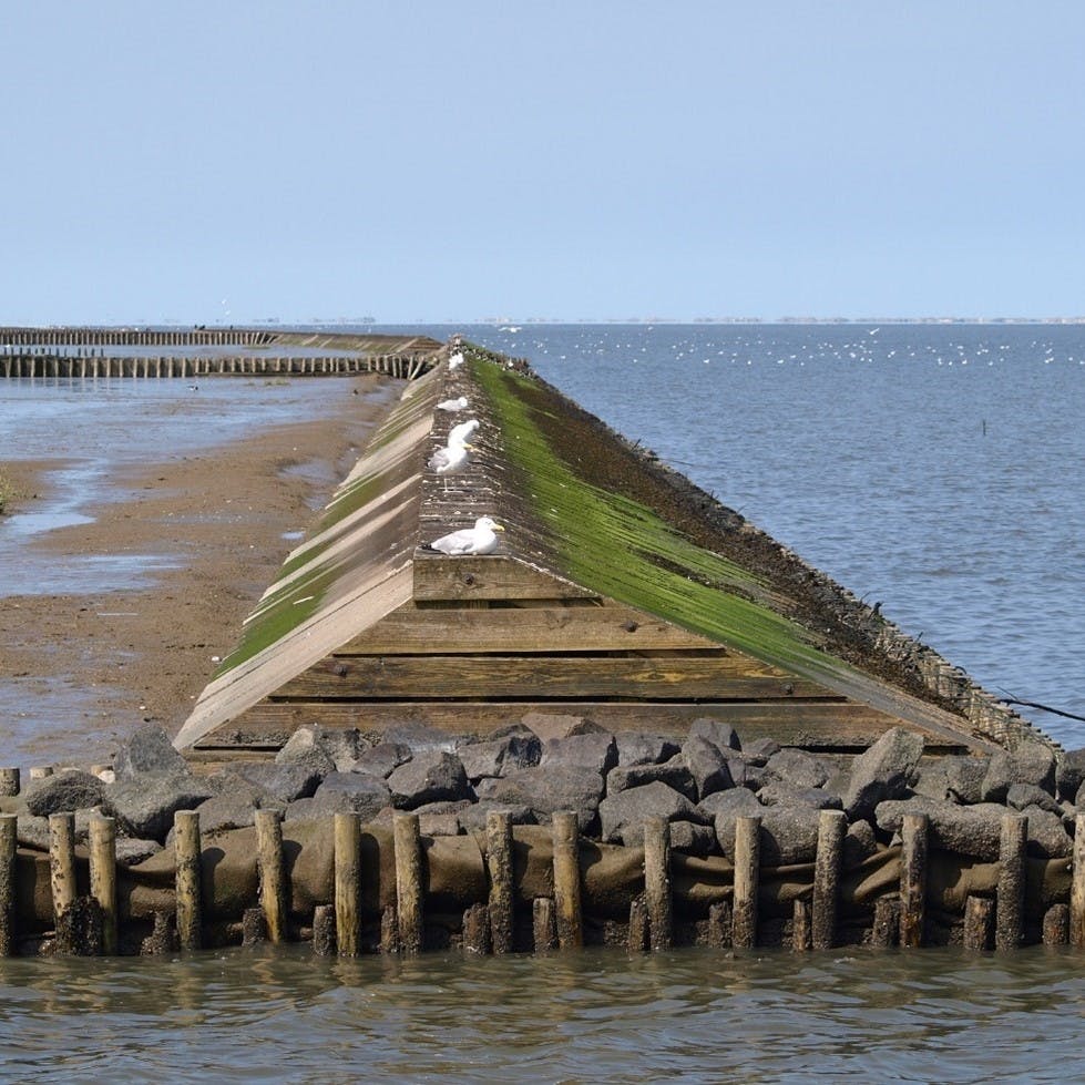 A sea defence to protect land from rising sea levels due to climate change. 