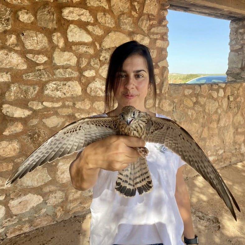 Catarina from DEMA and a GPS tagged lesser kestrel.