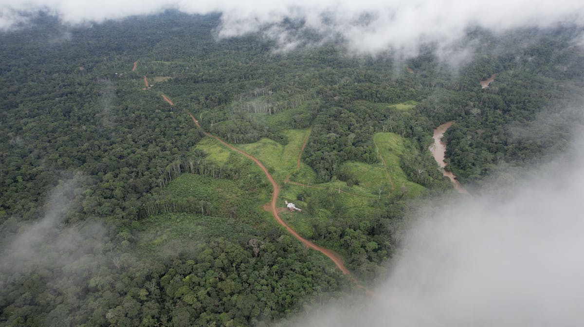 An aerial view Mossy Earth's land in the Ecuadorian Amazon Rainforest.