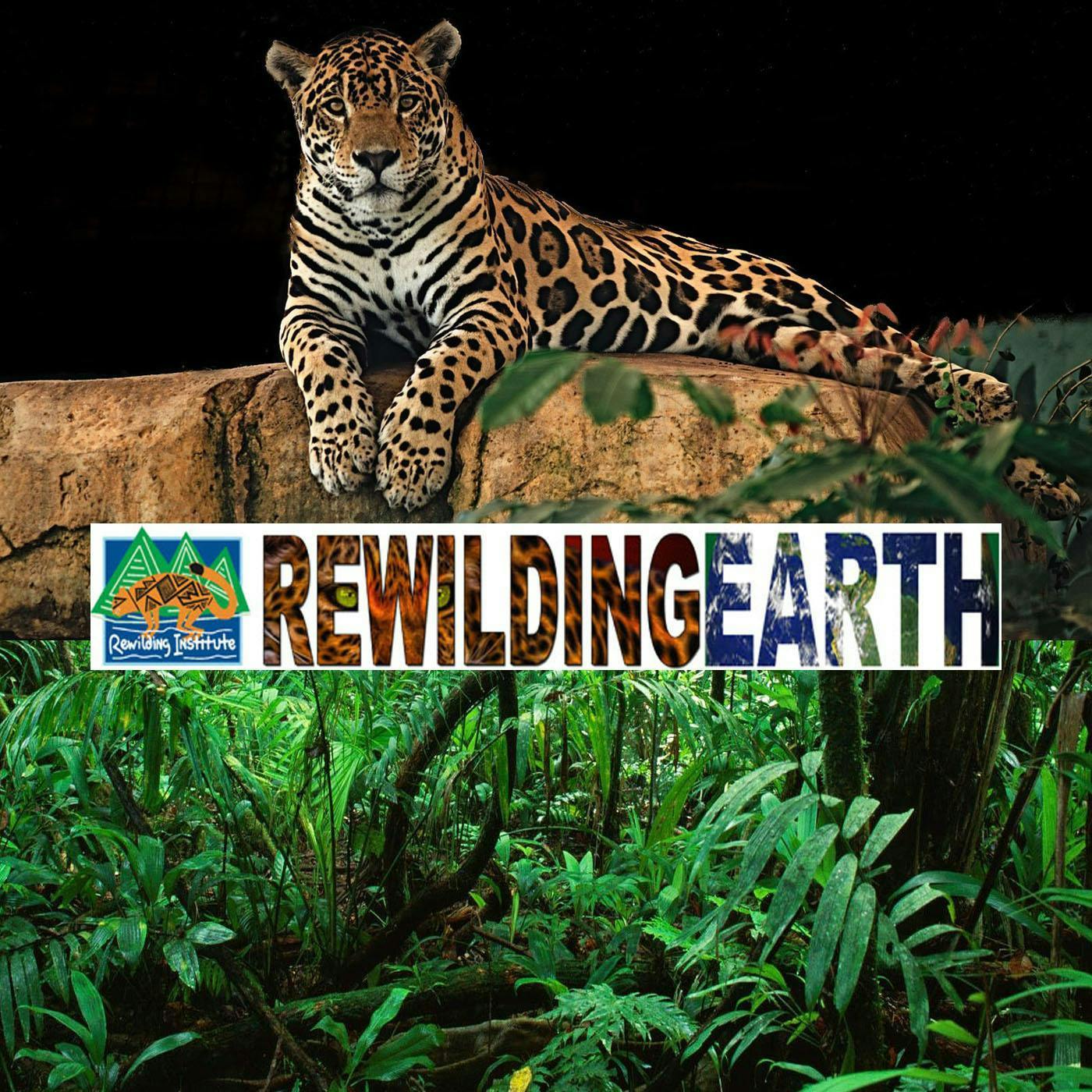 The Rewilding Earth Mission podcast