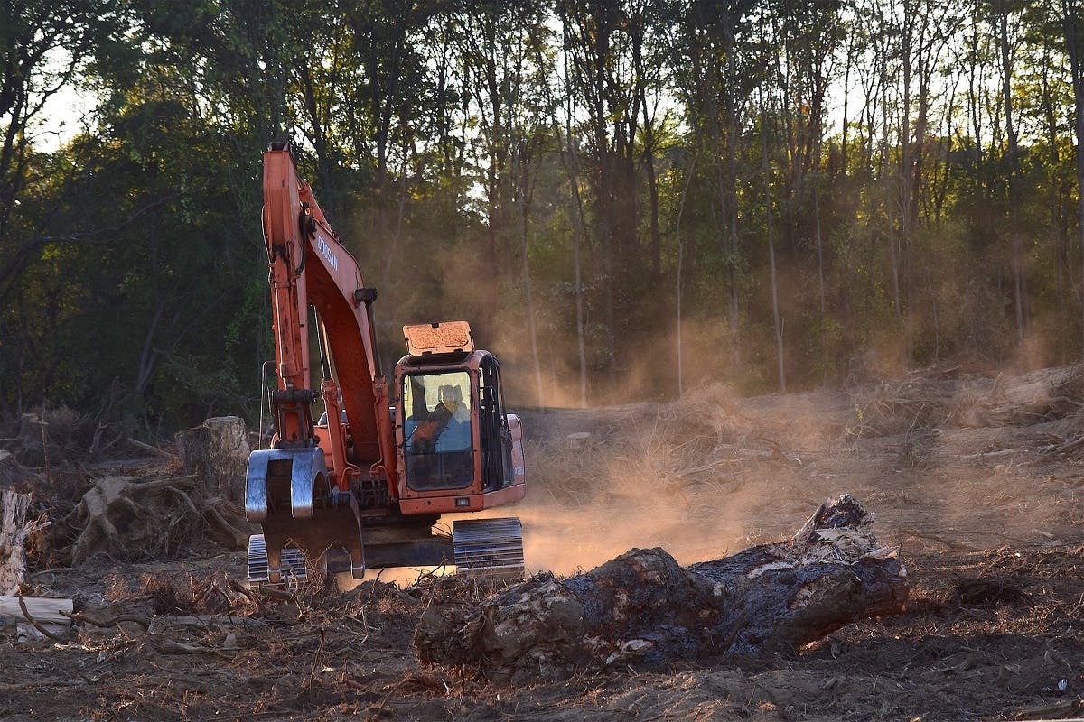 A large digger deforesting an area of rainforest. Going vegan will have a significant impact on lowering your environmental impact.