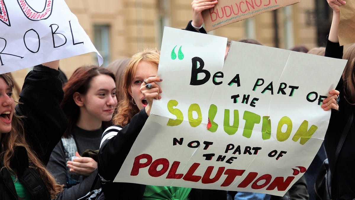 Demonstrators at the climate strike