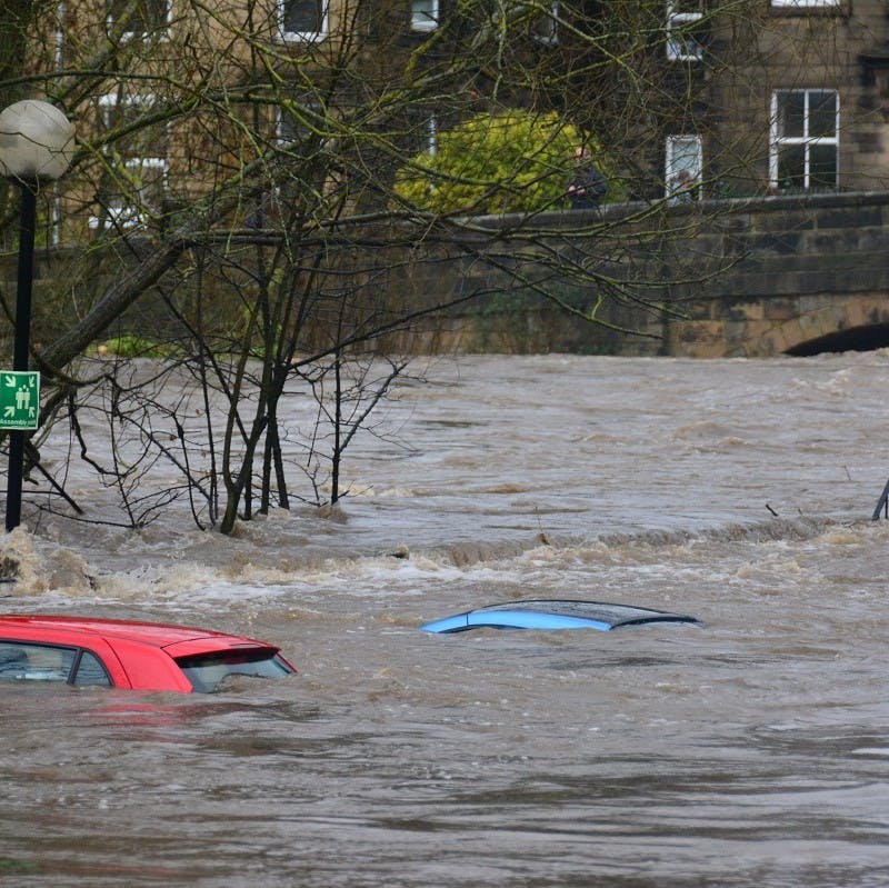 Three cars with flood water up to their roofs on a stormy day in the UK. Rewilding in Britain would help prevent such disasters. 