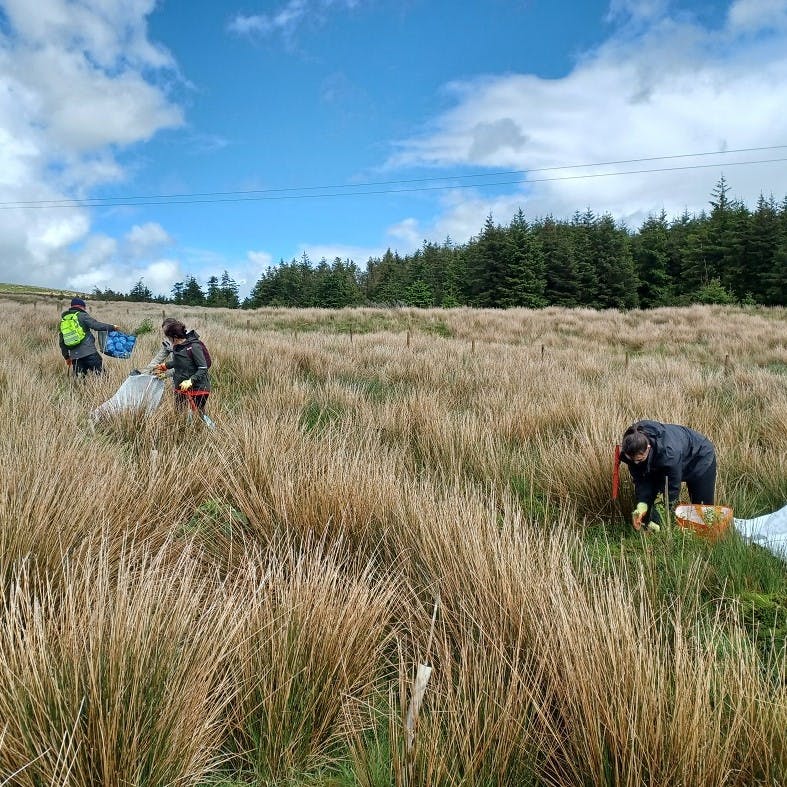 Planters at Wardlaw Wood, Dalry Community Windfarm helping on Mossy Earth and Eadha Enterprise's understory restoration project.