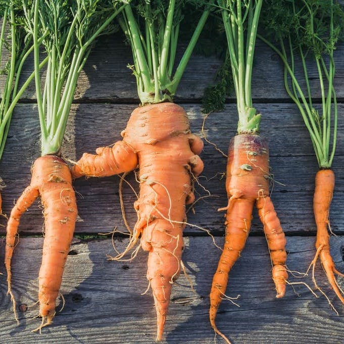 Imperfect carrots