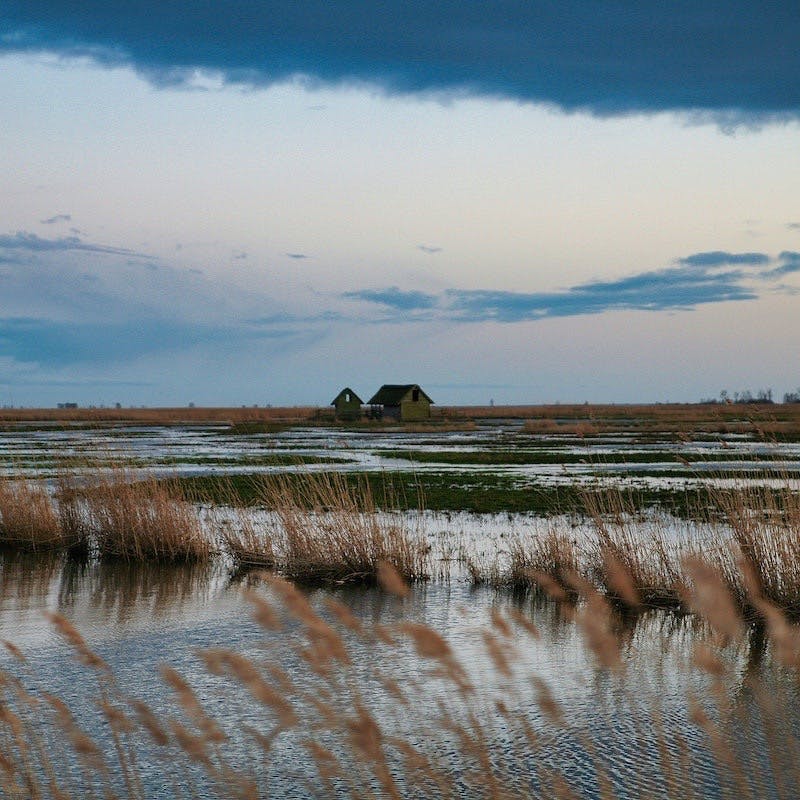 A salt marsh is pictured against a cloudy sunset sky. 