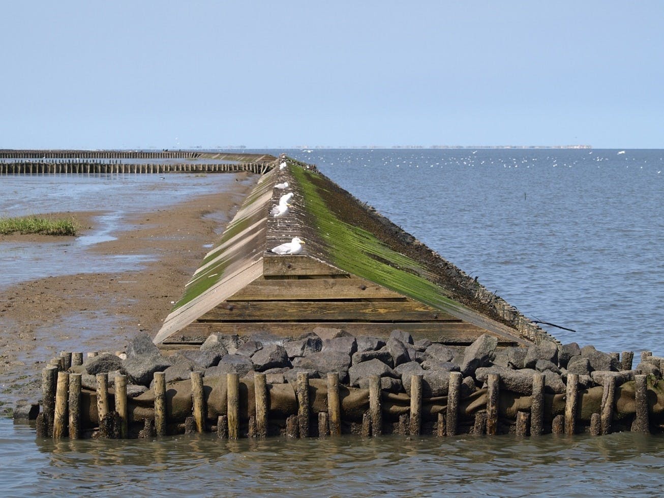 A sea defence to protect land from rising sea levels due to climate change.