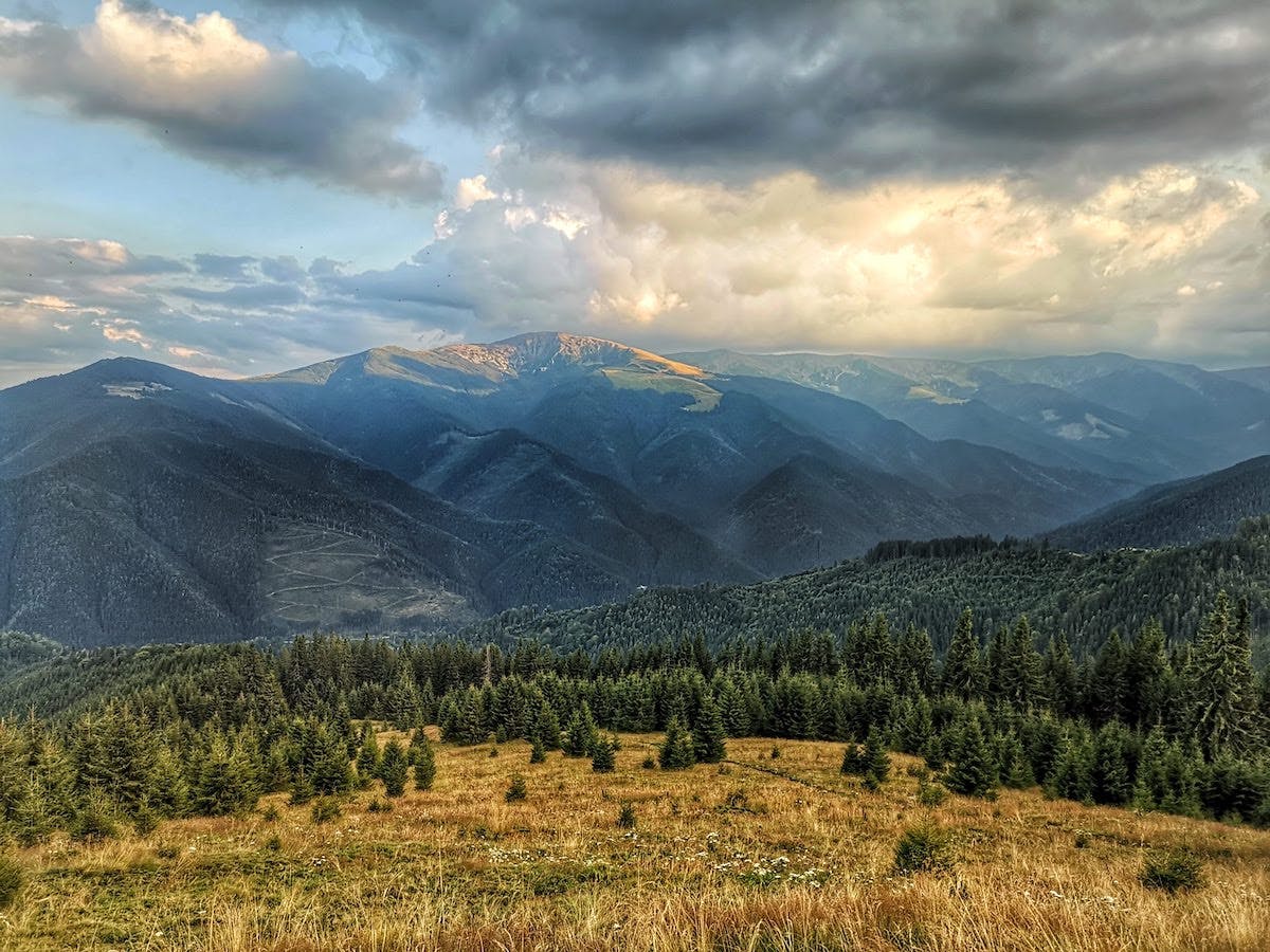 Conifer forests and grasslands cover the mountain sides of Romania's Carpathian Mountains