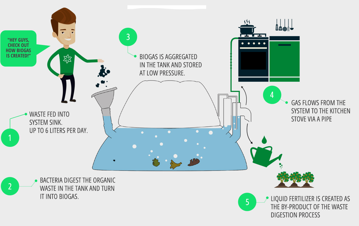 A illustration showing how the homebiogas home biodigester works. 