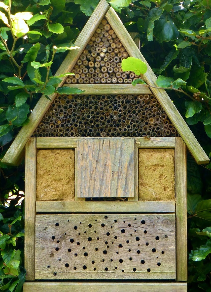 A bug hotel with green leaves behind it. Installing a bug hotel is one simple way to rewild your garden.