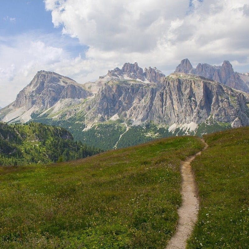 Grasslands and woodlands lead up to craggy mountain tops. This is an ideal habitat for reintroduced bison in Europe.