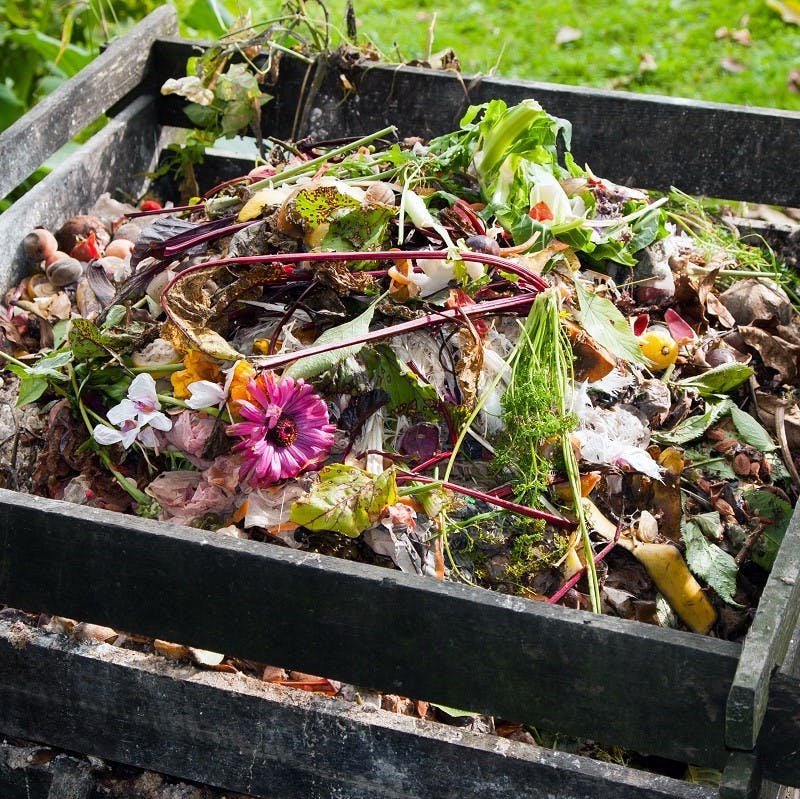 Wooden garden composter, a must when you rewild your garden.