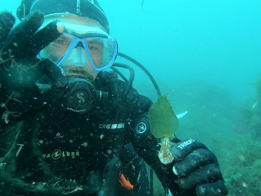 Mossy Earth conservation biologist Tiago underwater with a green gravel kelp