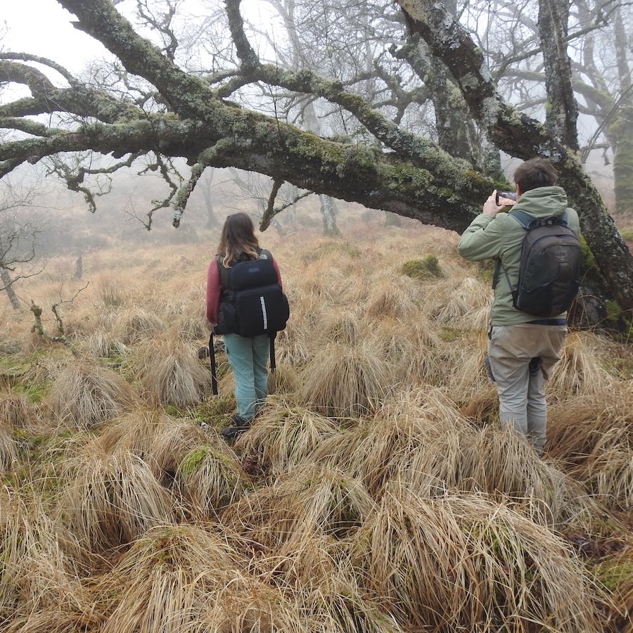 Rob and Isla from Mossy Earth under a birch tree at Loch Arkaig Community Forest