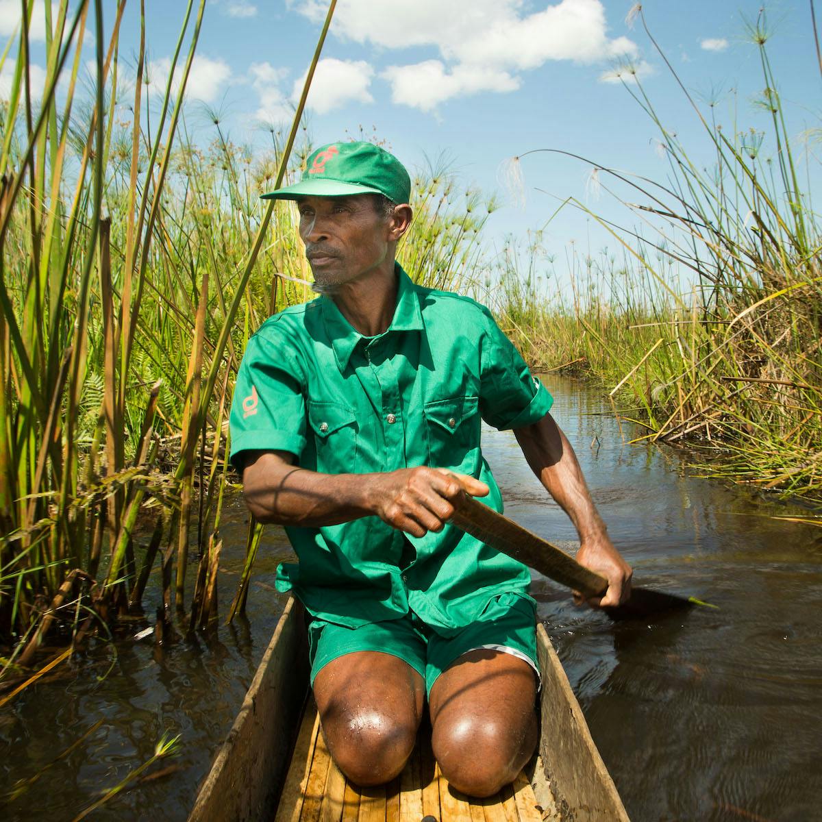 A man kneels in a wooden canoe in a green uniform as he travels through green reed beds