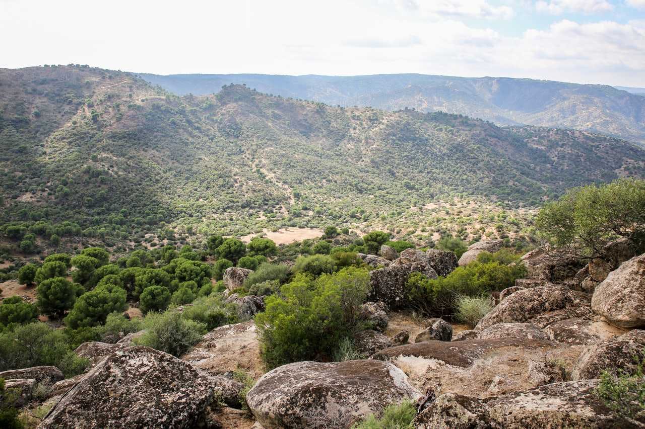 In the foreground are brown rocks and bare soil, with scattered shrubs and trees in the background climbing up a tall mountain ridge.