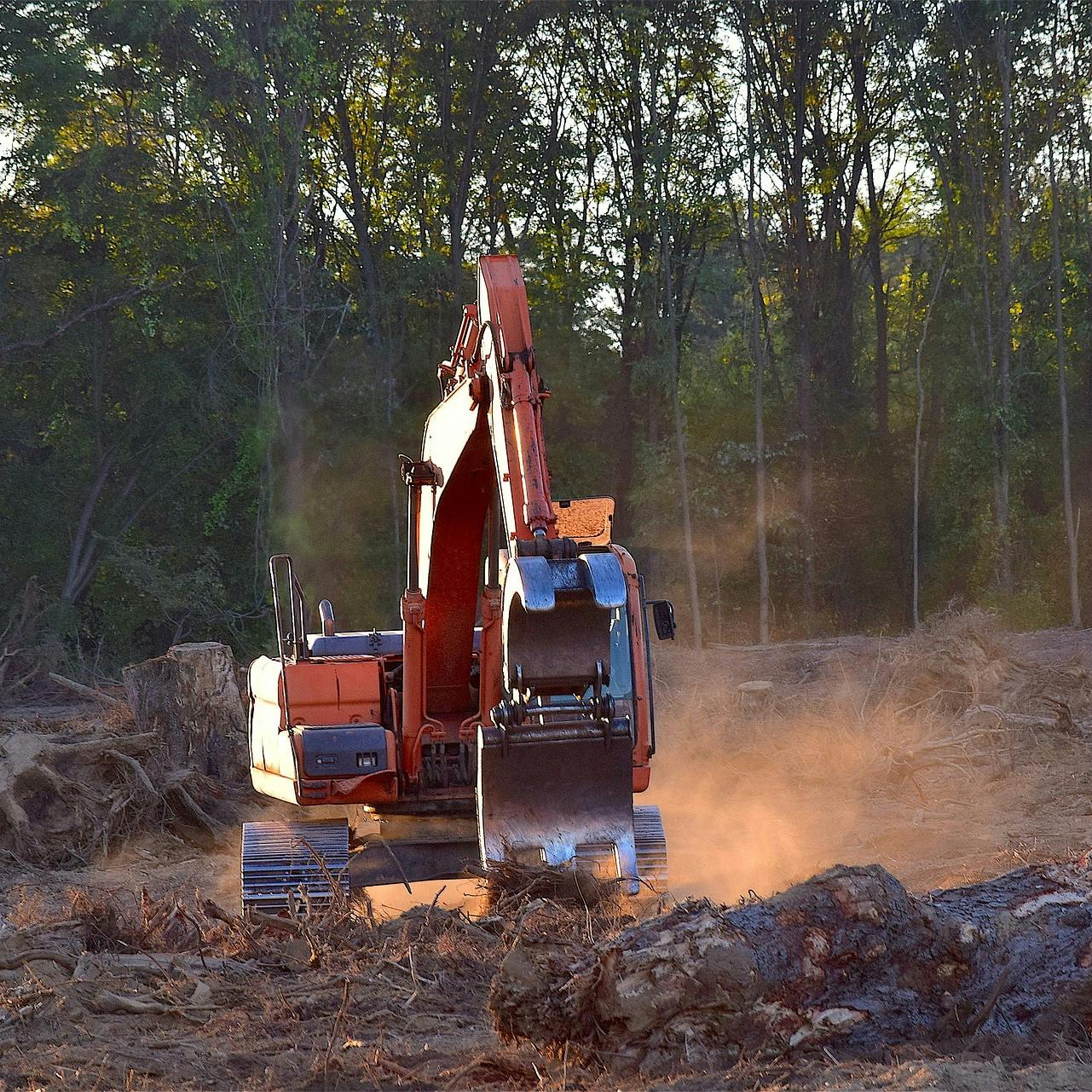 A large digger deforesting an area of rainforest. Going vegan will have a significant impact on lowering your environmental impact. 