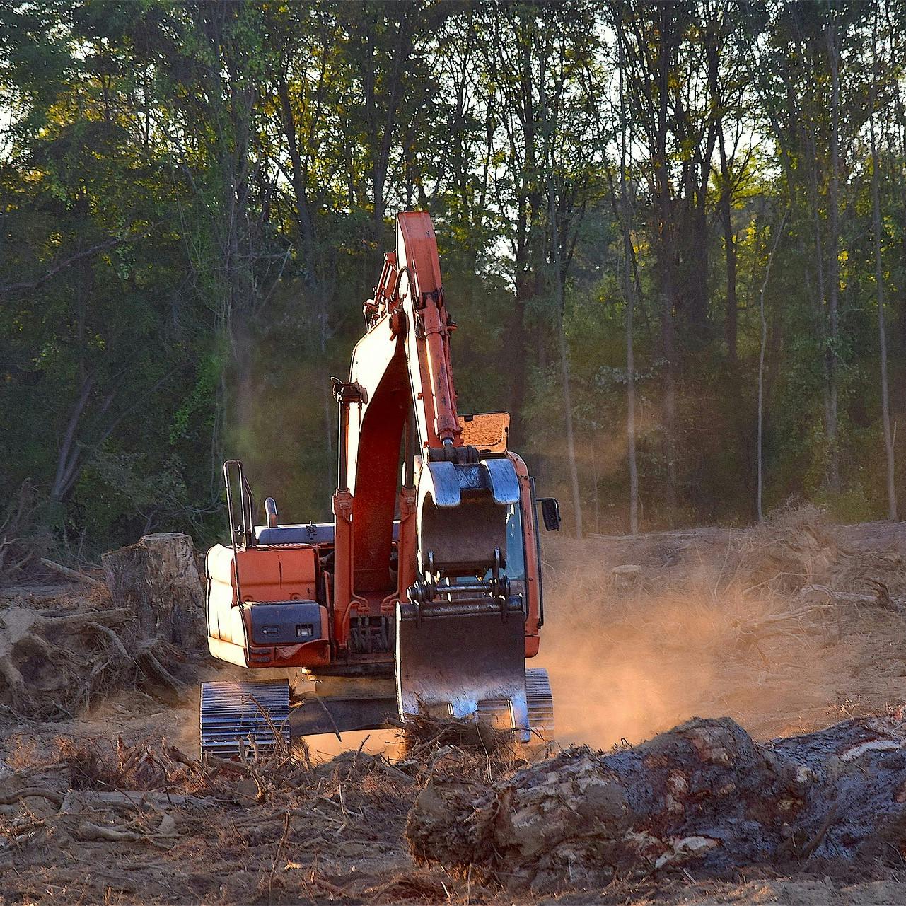 Heavy machinery is used to clear forest. Deforestation is the leading driver for our planet's loss of biodiversity. 