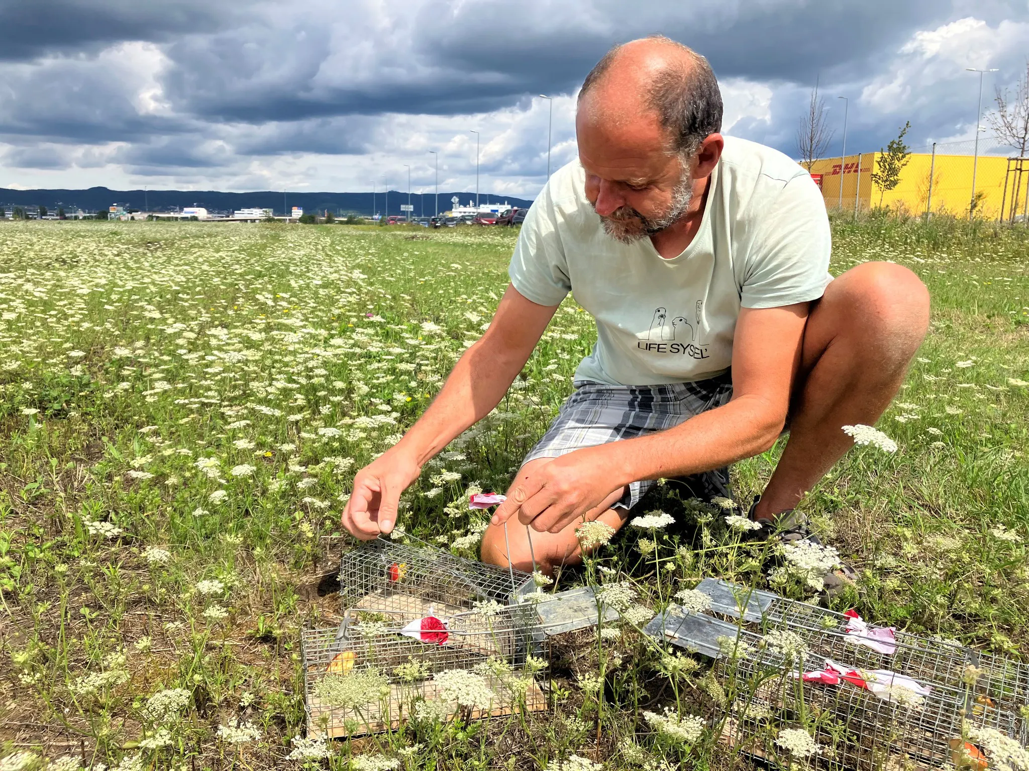 Translocating European Ground Squirrels