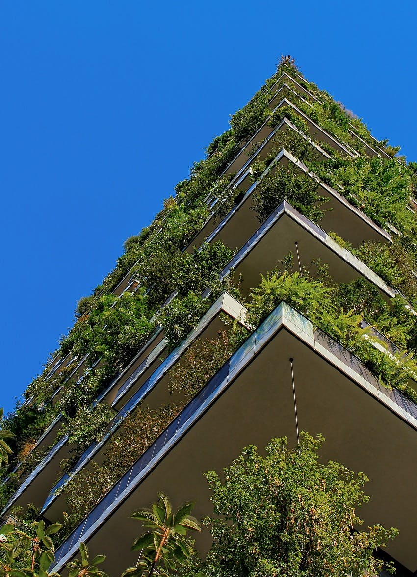 The view from the ground of a green walled and roofed building.
