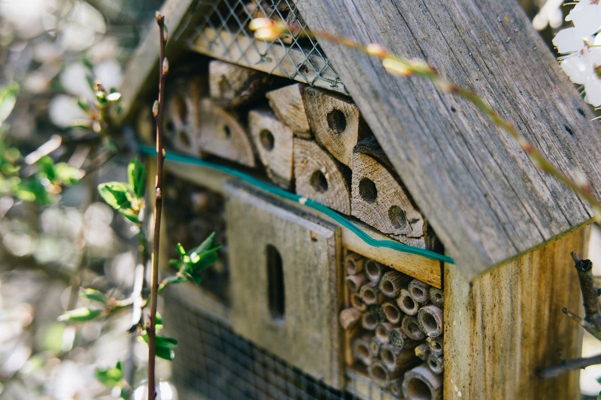 A bug hotel. Constructing a bug hotel in your garden is an easy first step into rewilding.