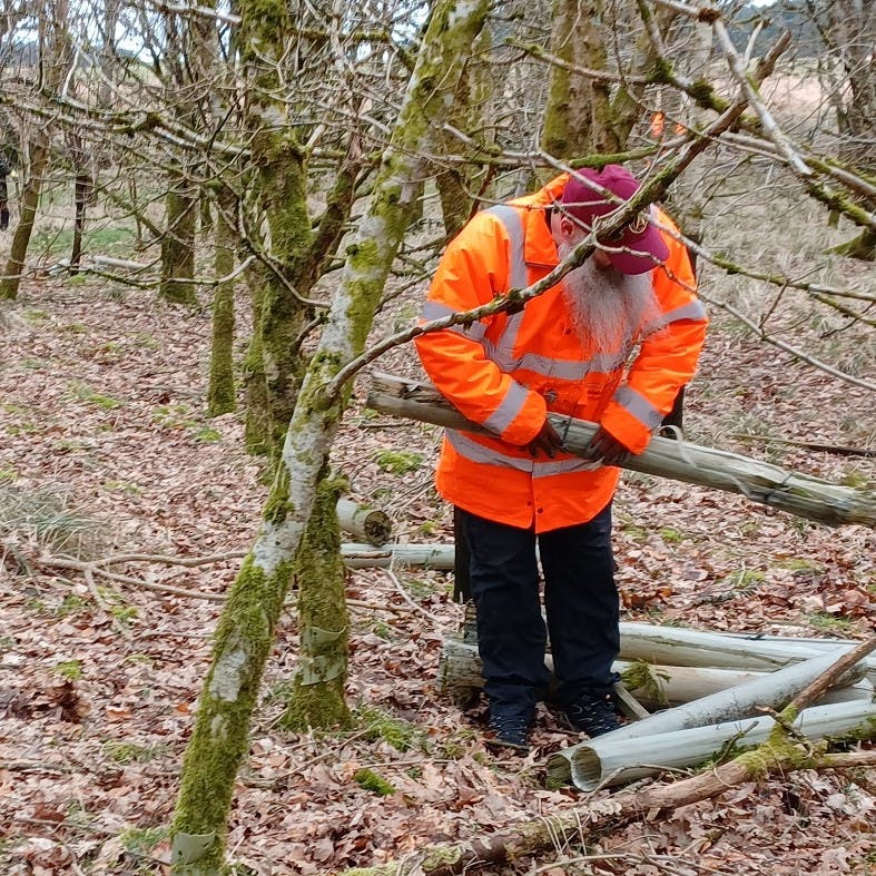 A helper removing plastic tree guards from site at Locherwood Community Woodlands.