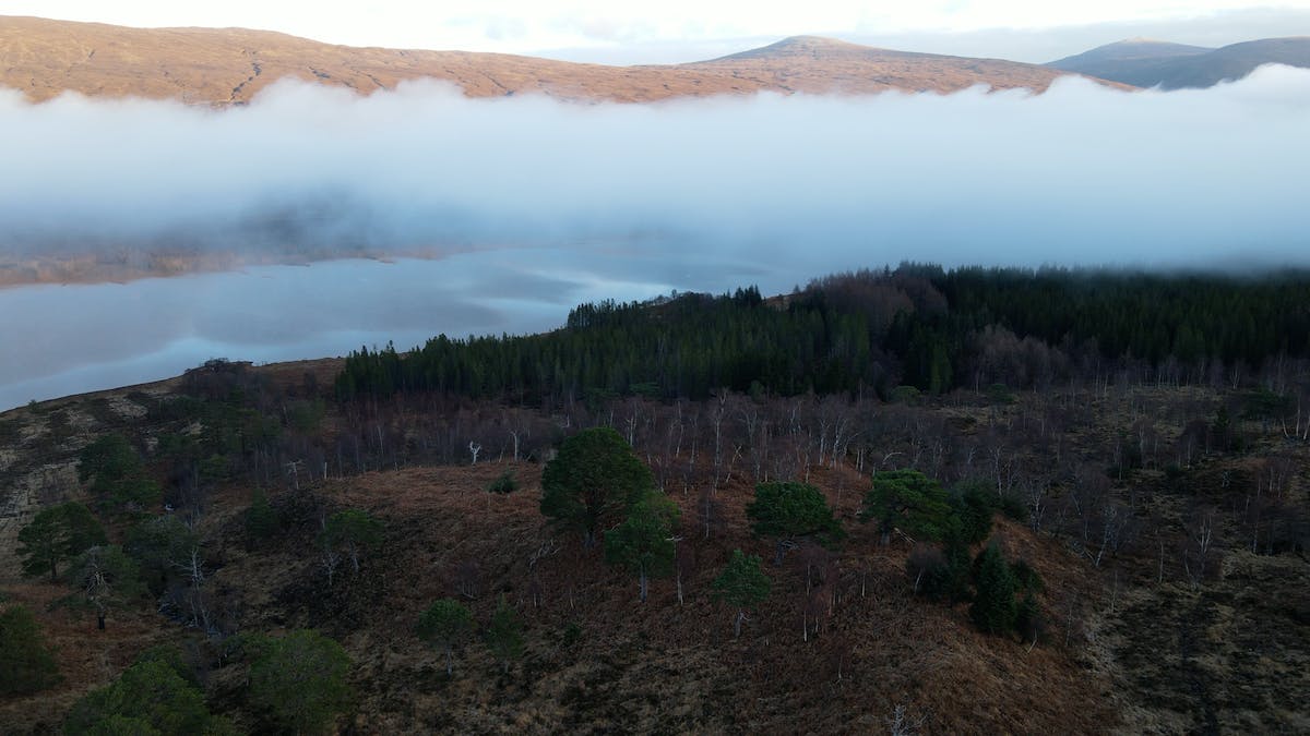 Arkaig Community Forest’s 20.5ha site at Aird Nòis