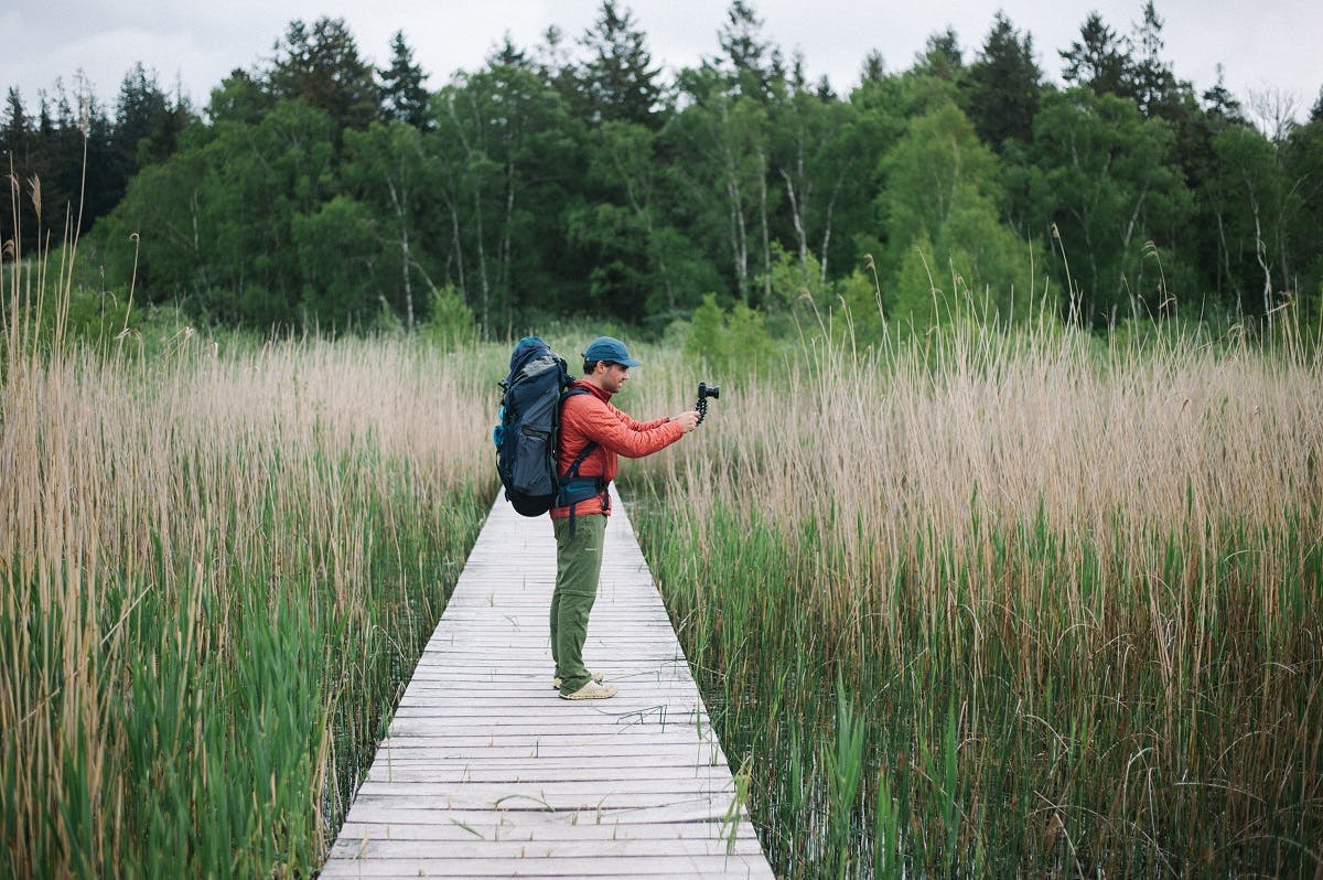 Duarte de Zoeten on a Danish island to search for European bison.