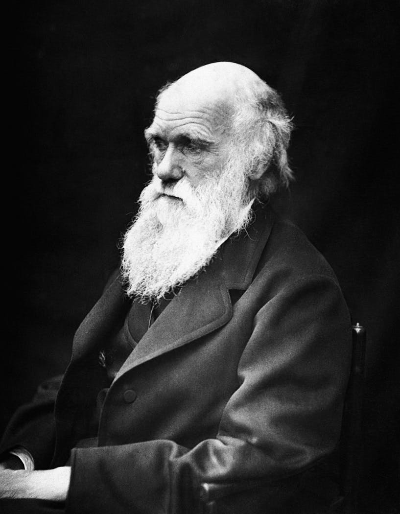 Portrait of Charles Darwin