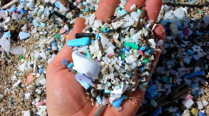A handful of plastic microfibres. The more we refuse single use plastic, the less microfibres entering our waterways.