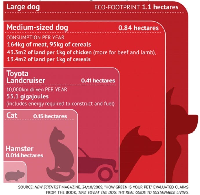 An info graphic depicting the carbon footprint of various sized domesticated pets.