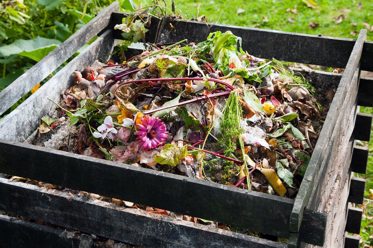 Wooden garden composter, a must when you rewild your garden.