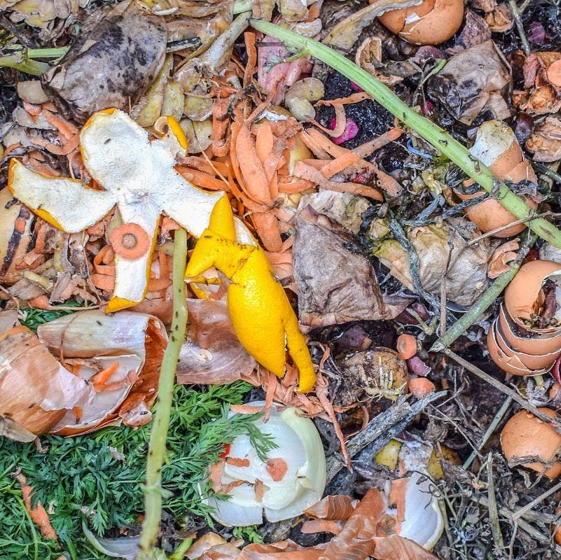 A mix of kitchen food scraps on the top of a home composting pile