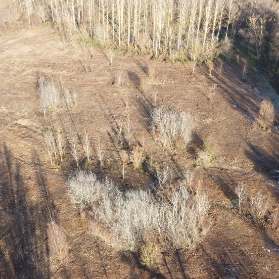 The site of the wetland restoration project by Mossy Earth and Broz.