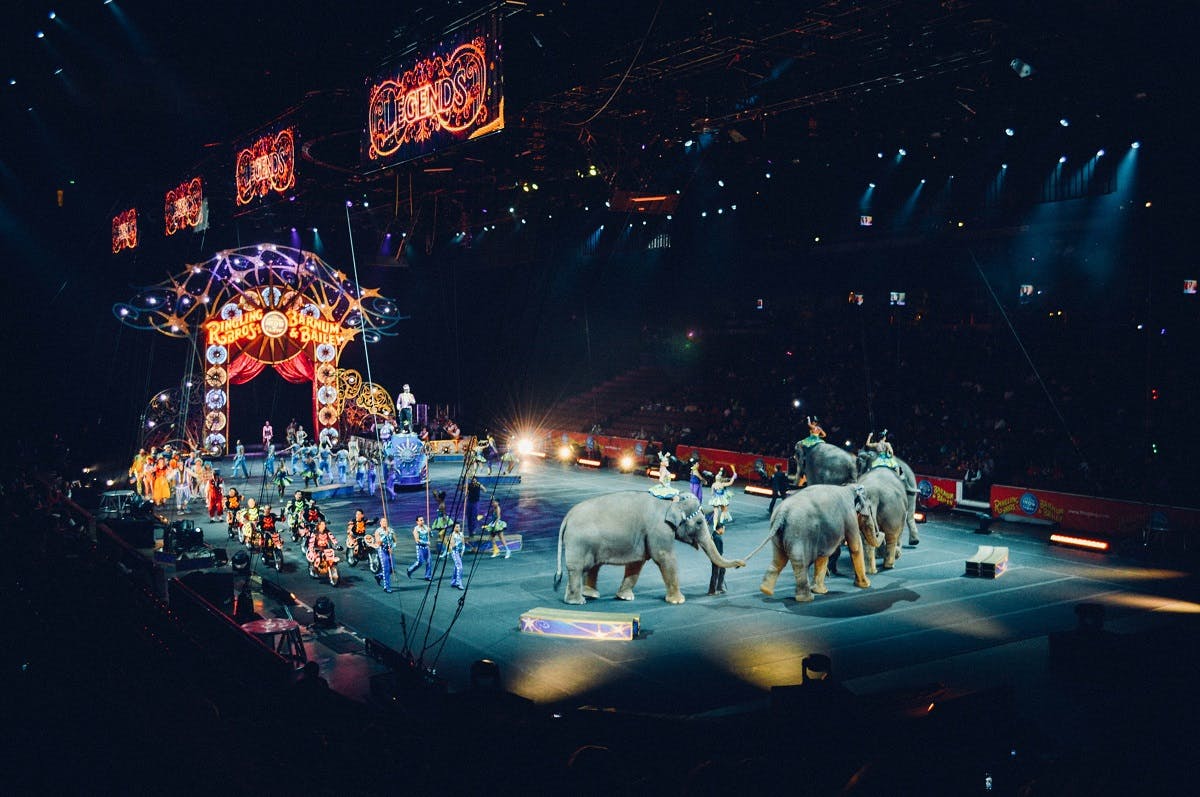 A circus cruelly using elephants as part of there display.