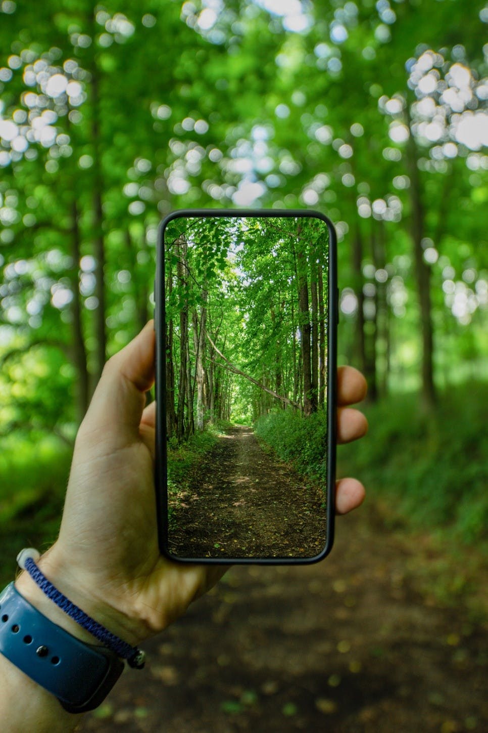 A person taking a photo of a forest with their sustainable and ethical smartphone by Fairphone.