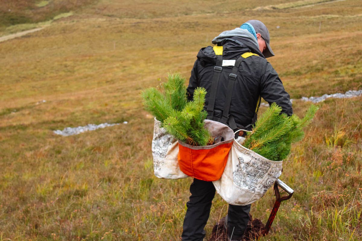 A treeplanter at work in the Scottish Highlands planting native species.