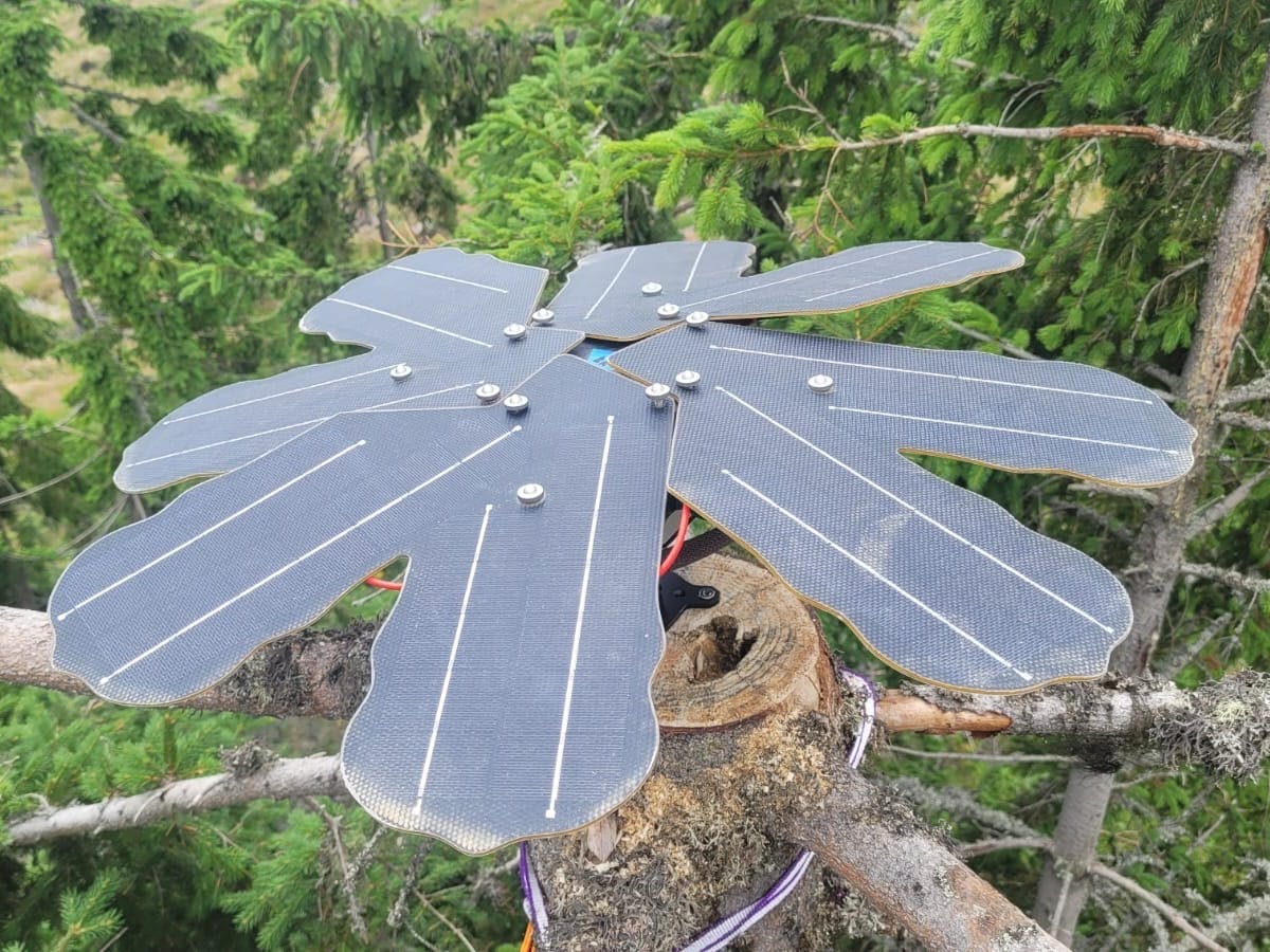 a guardian device installed in the Carpathian forest