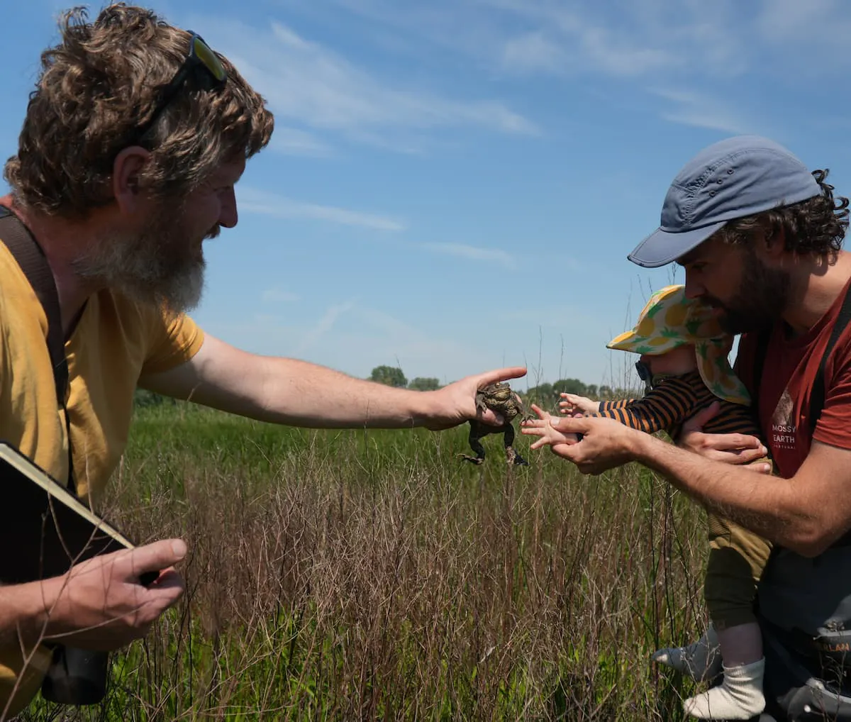 biologist showing a child a toad in a wetland