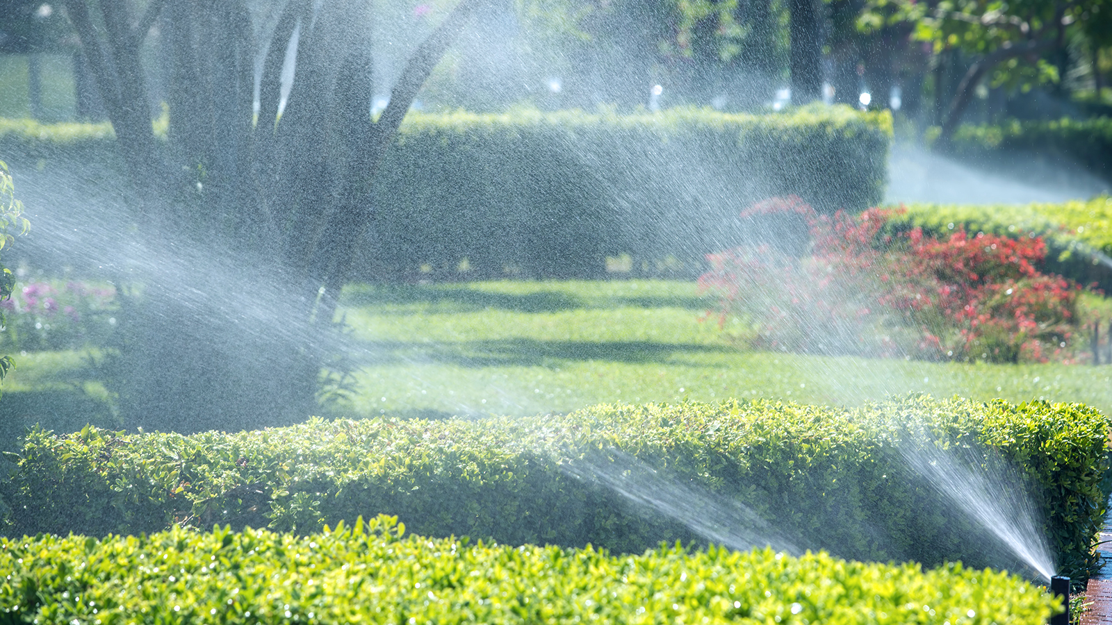 How to Blowout Your Sprinkler System