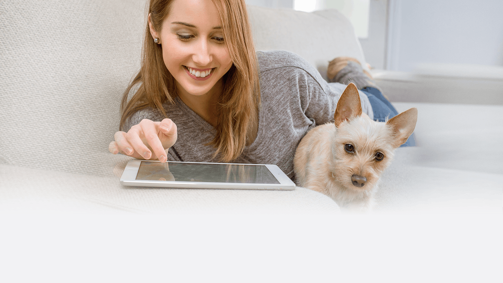 Top 10 Dogfriendly Features to Consider when Buying a Home