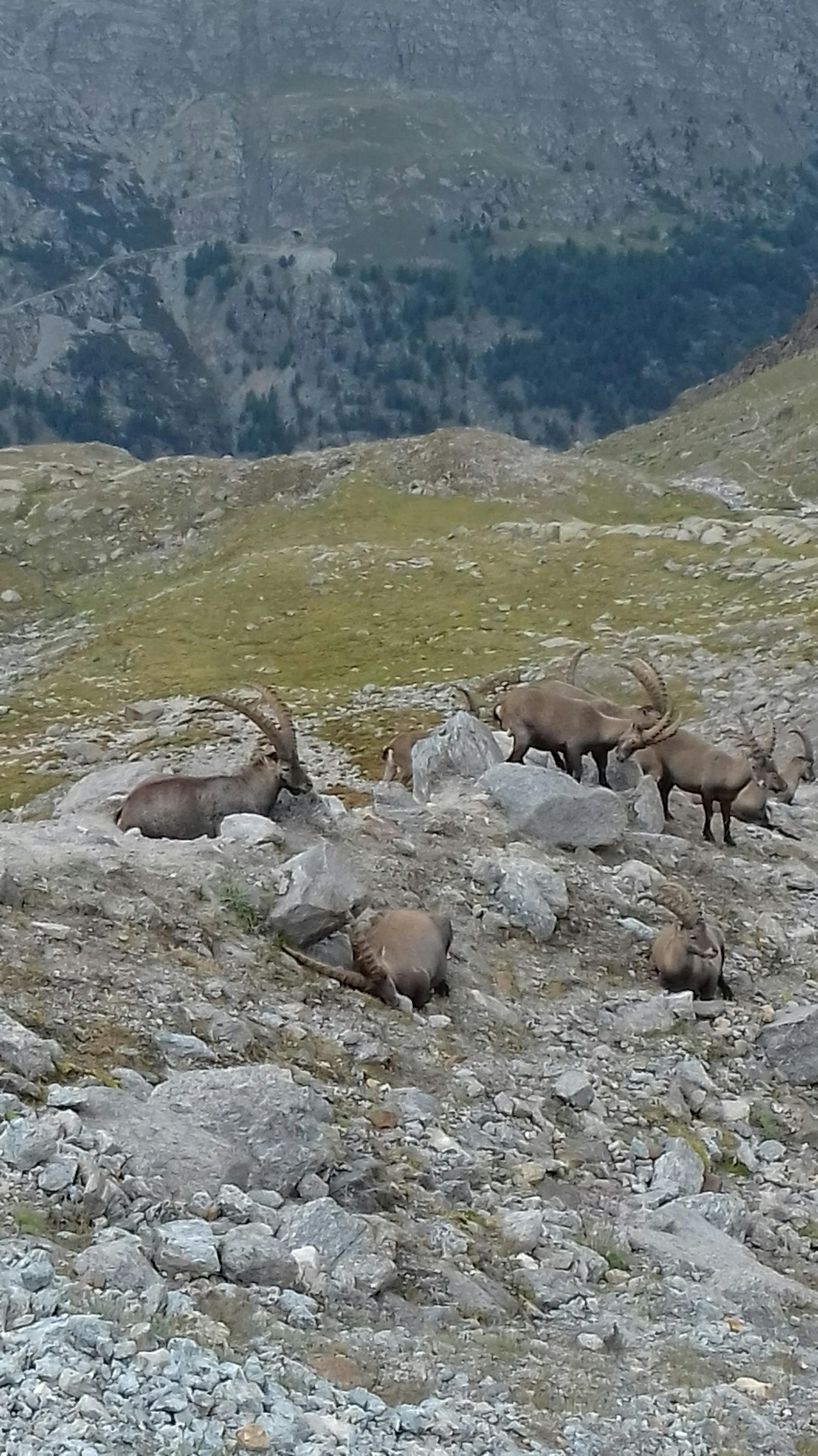 Hike to the Chabod hut