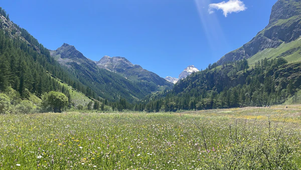 Val di Rhemes