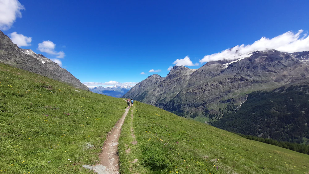 tour du mont blanc
